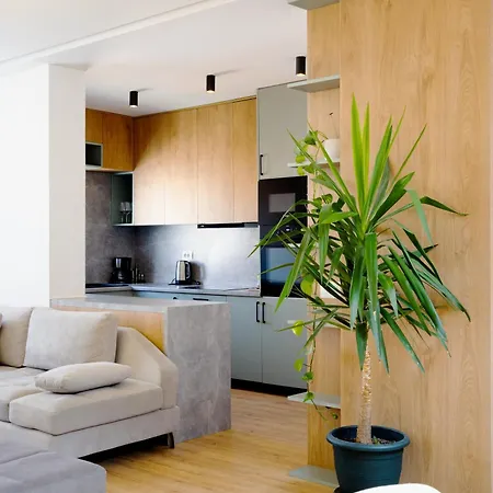 Square Luxury Penthouse Apartment