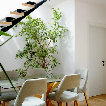 Square Luxury Penthouse * ティラナ